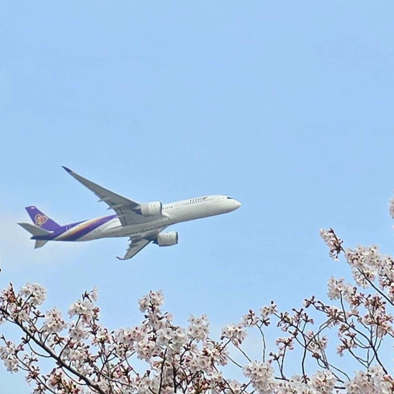 長くのび〜る飛行機雲✈️ 注目の空の写真 ウェザーニュース