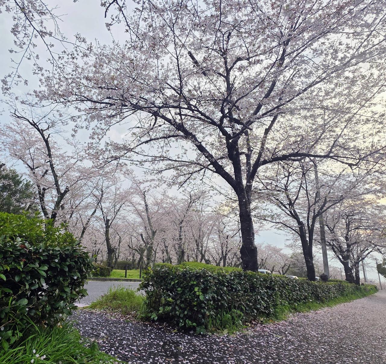 平和公園
