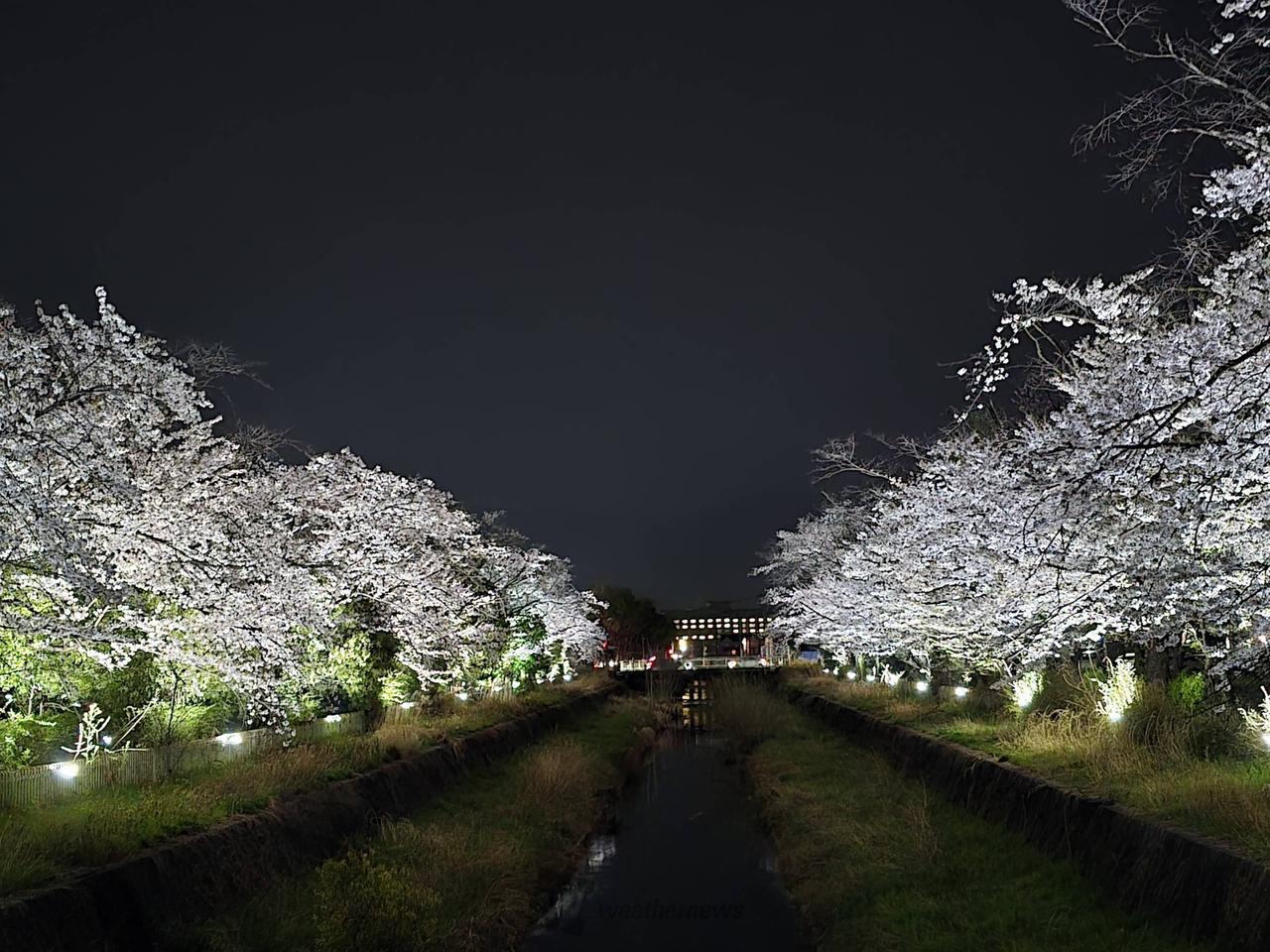 小瀬スポーツ公園の...