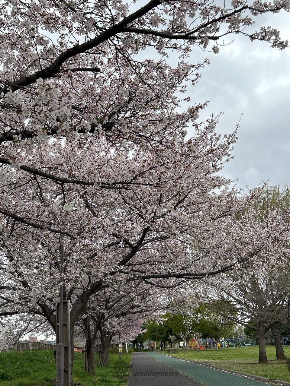 さいたま 市 北 区 の 天気(02)