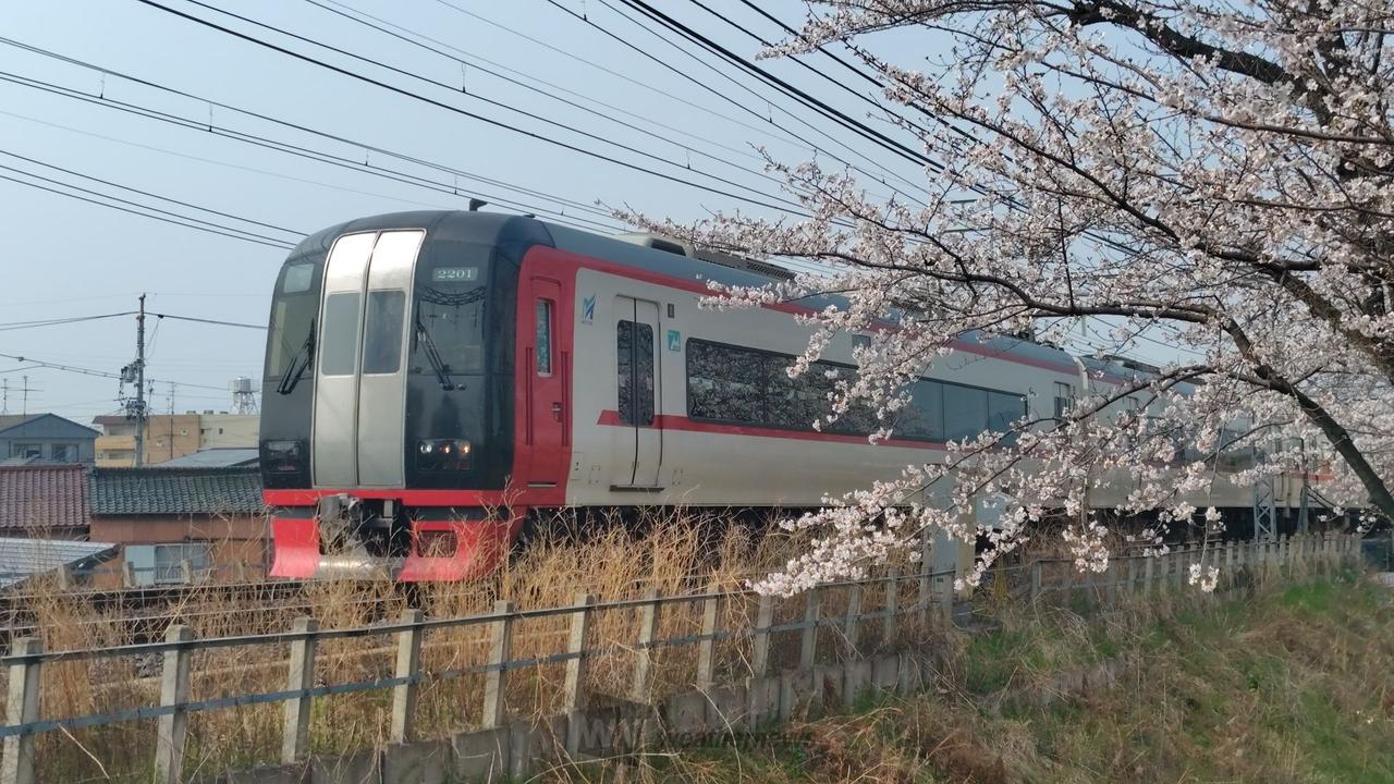 笠松の桜と名鉄特急