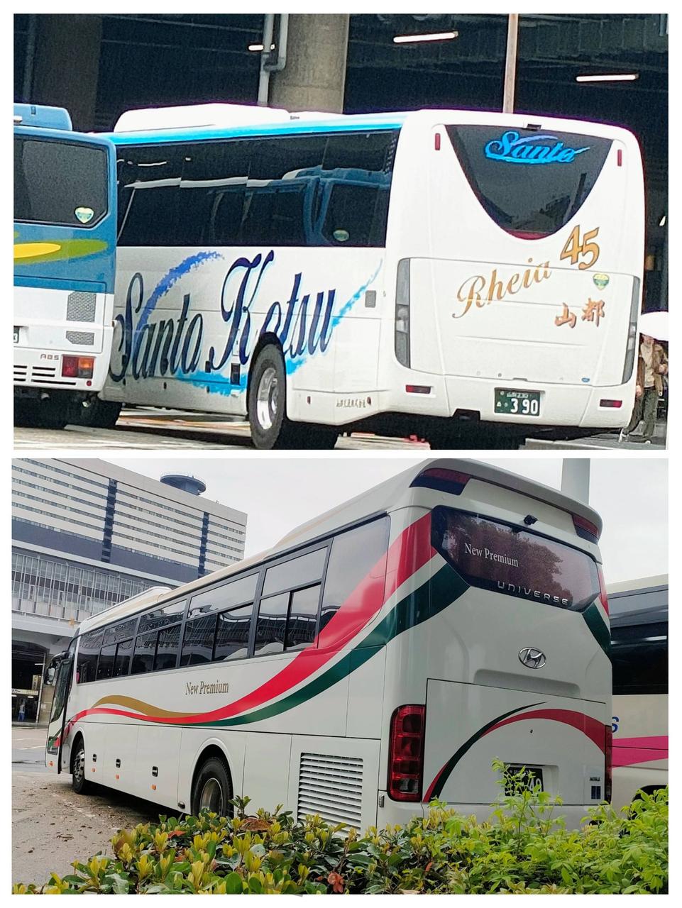 今日も観光バス🚍️さんを ゲットですよ | 大阪府松原市 | もっこす