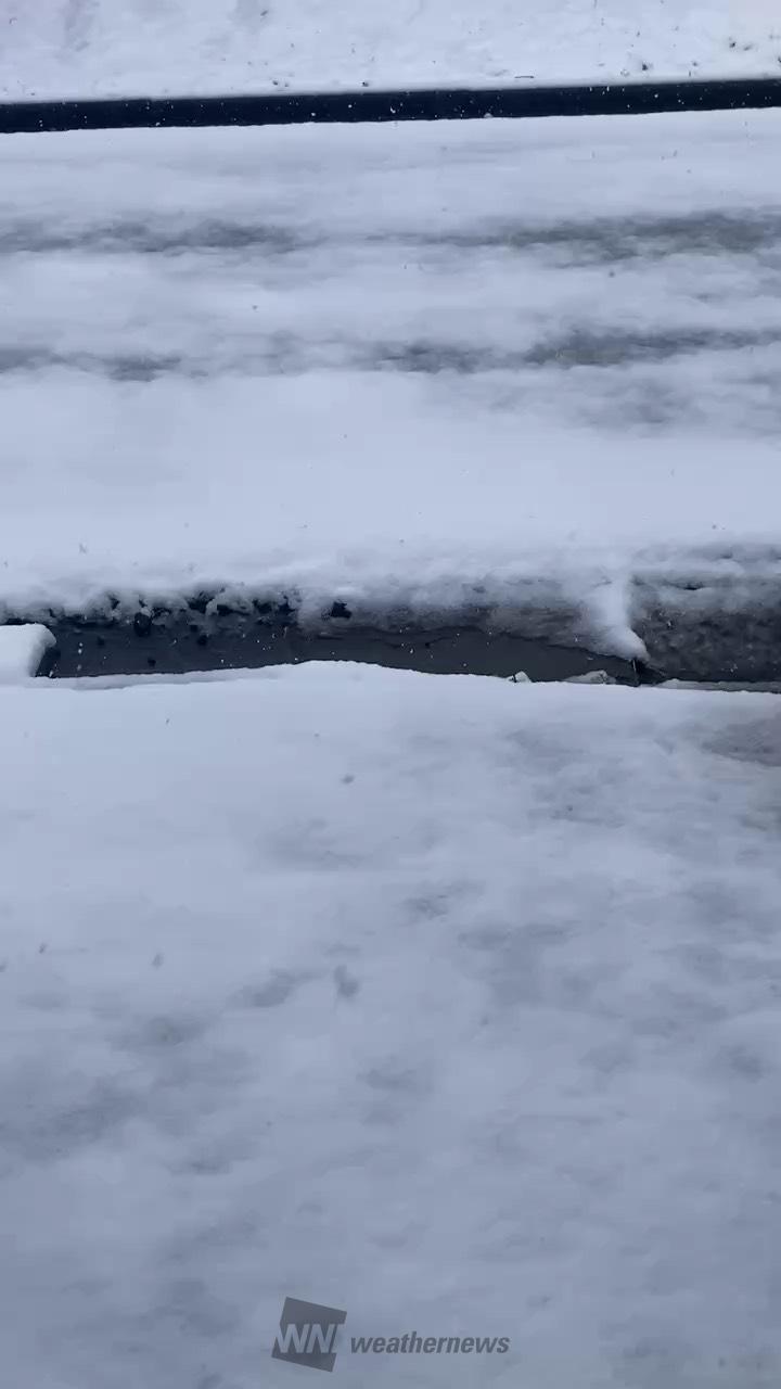 4月なのに？！雪化粧 注目の空の写真 ウェザーニュース