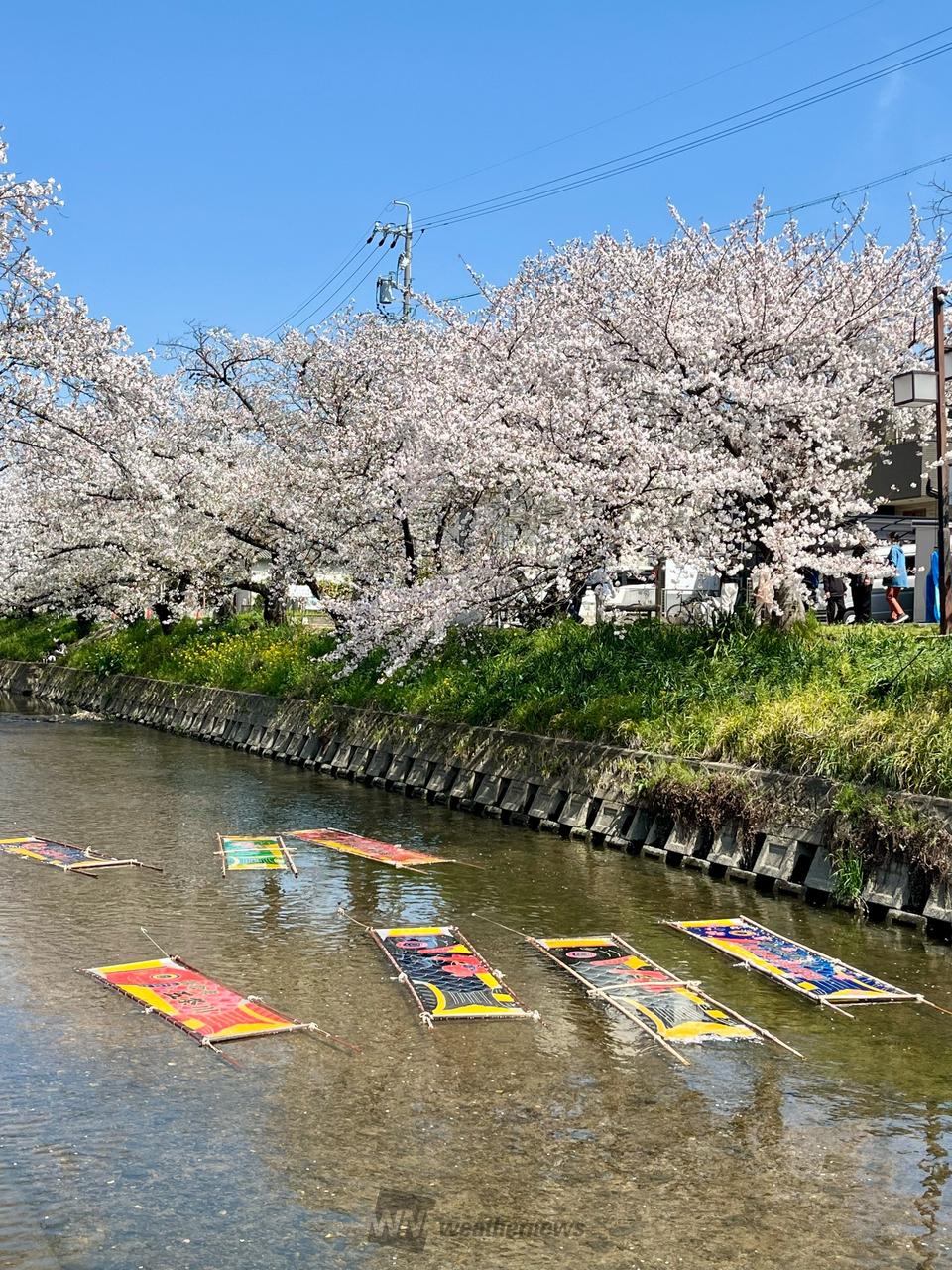 のんぼり洗い🎏