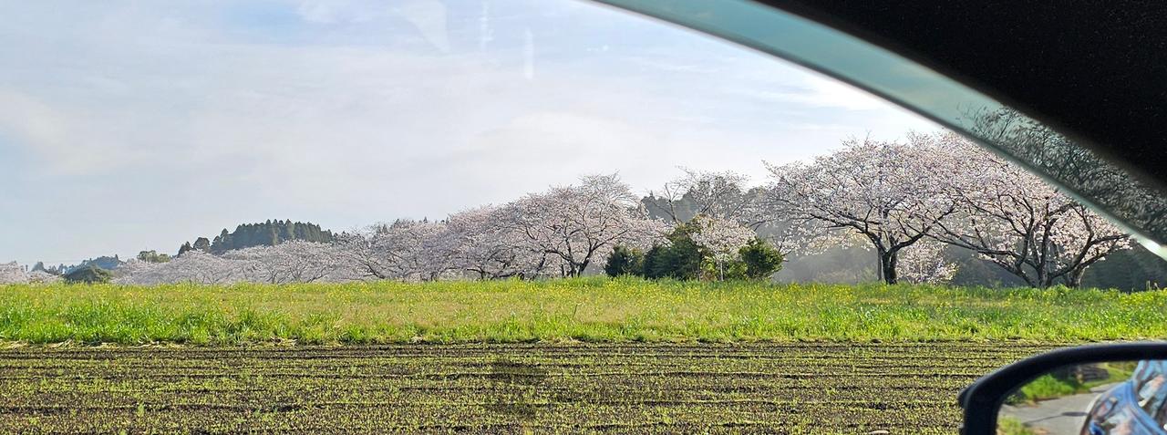日中通ったところ満...