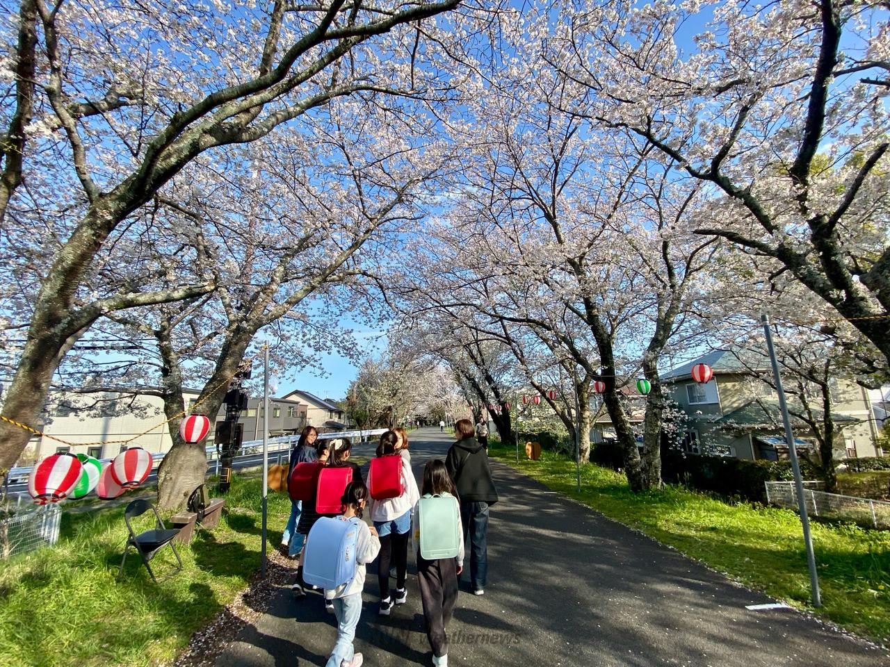 今日は入学式でした
