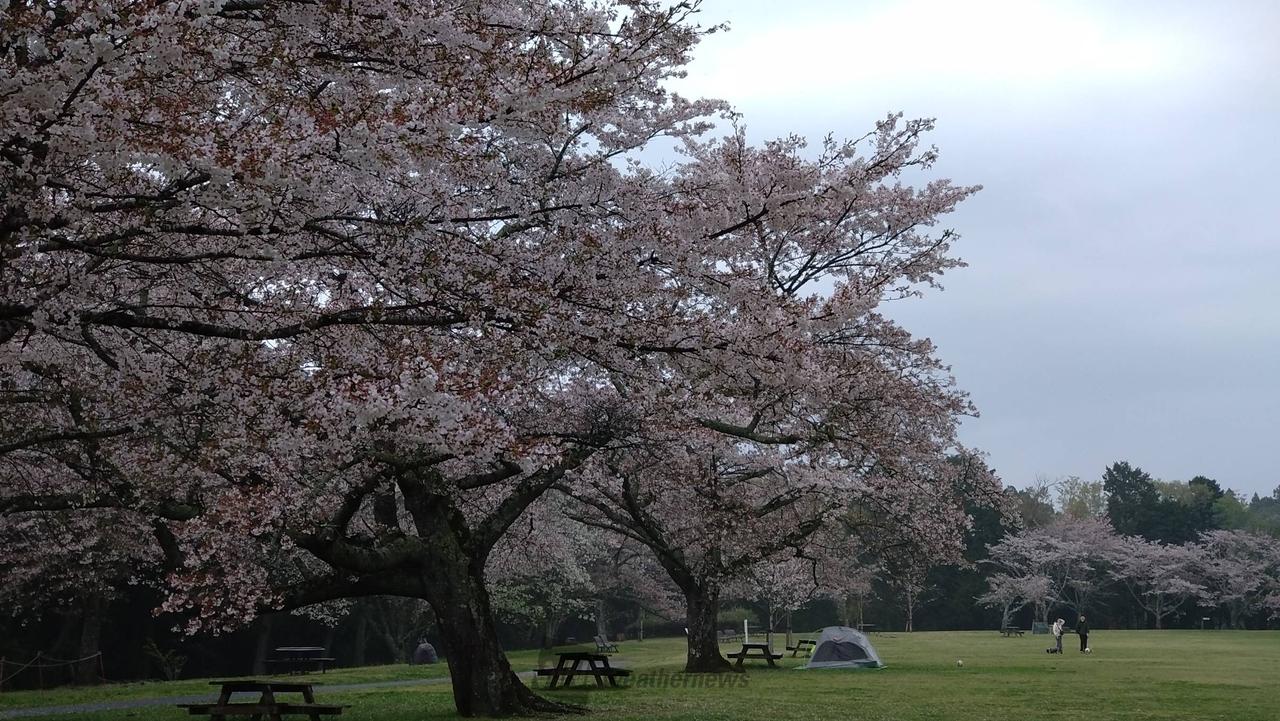 雨の泉自然公園。見...