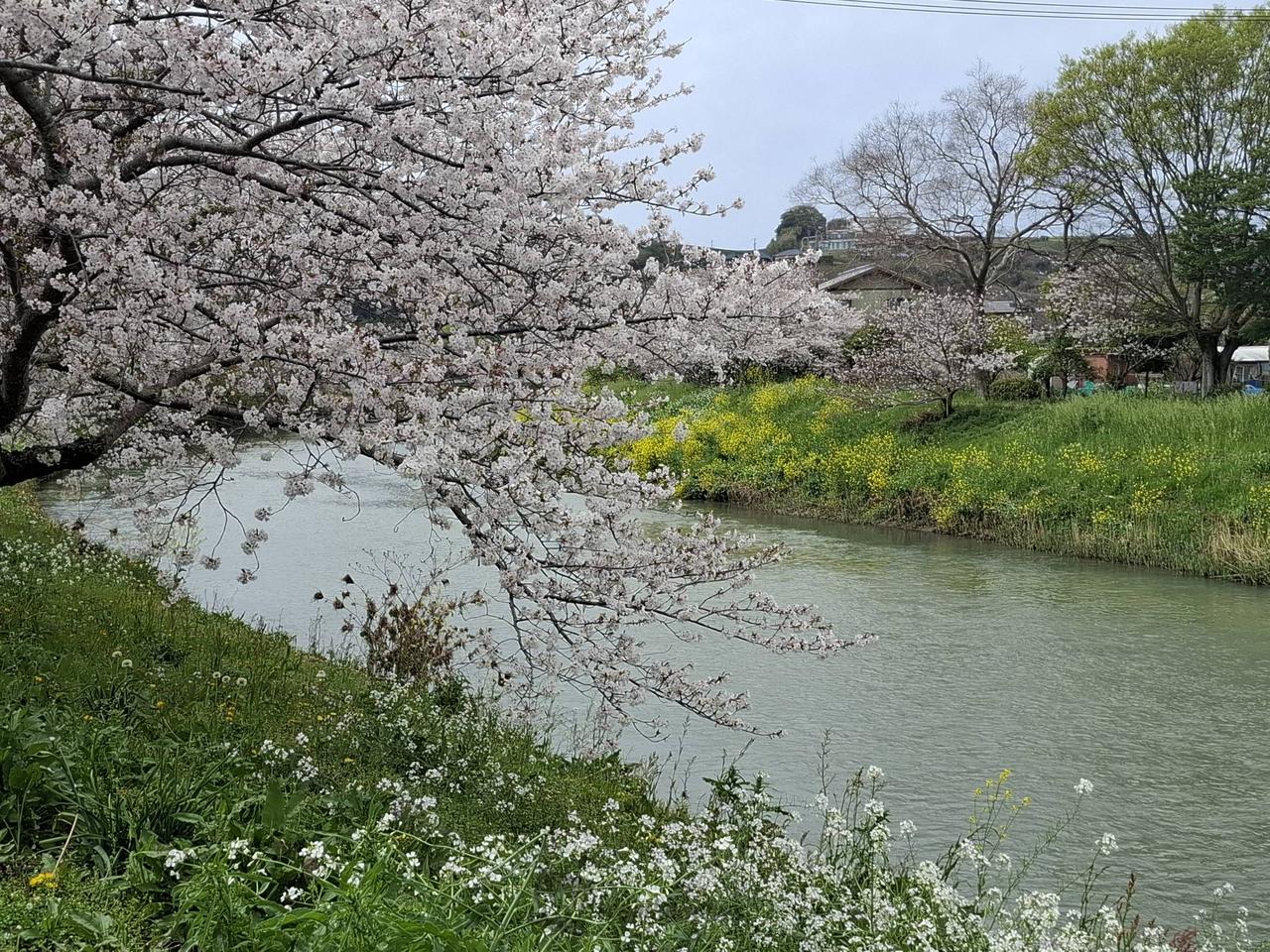 地区のお祭りもやっ...