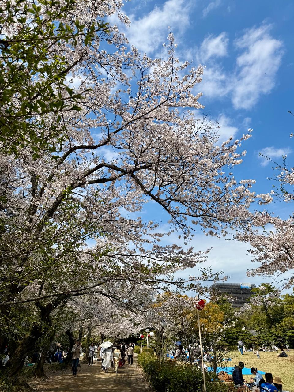 ついでに栗林公園に...