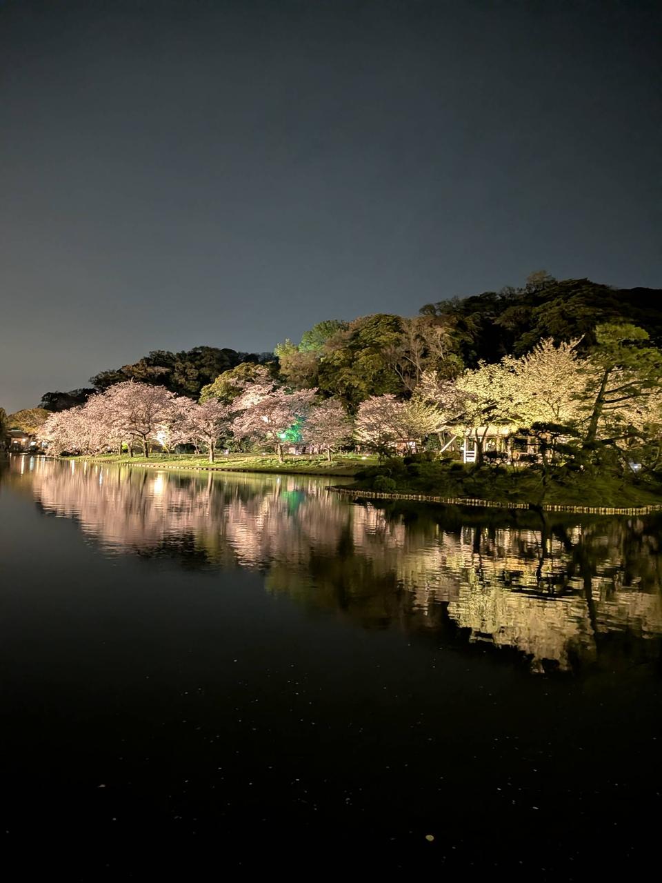 横浜本牧三渓園 ラ...