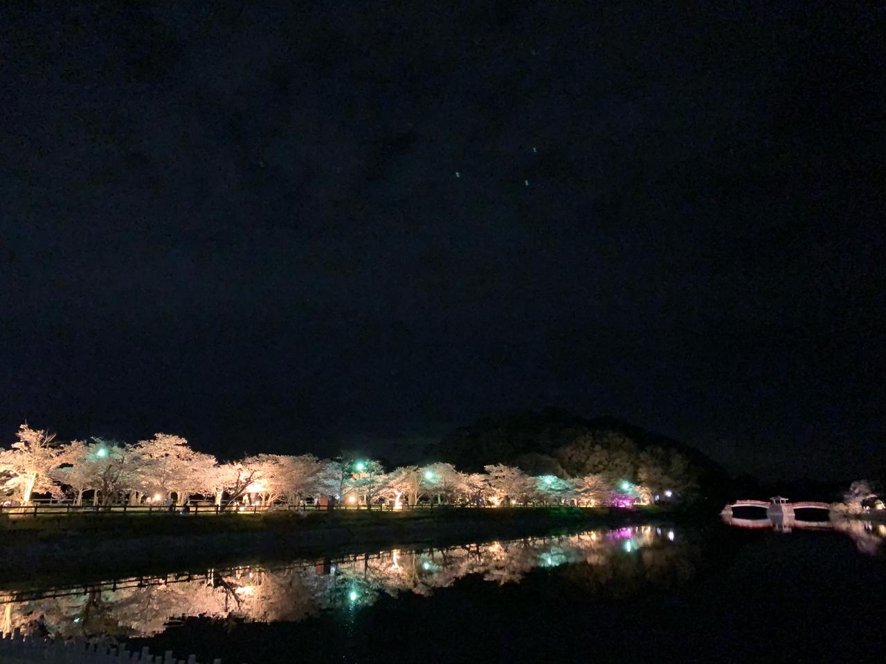 水面にリフレクショ...