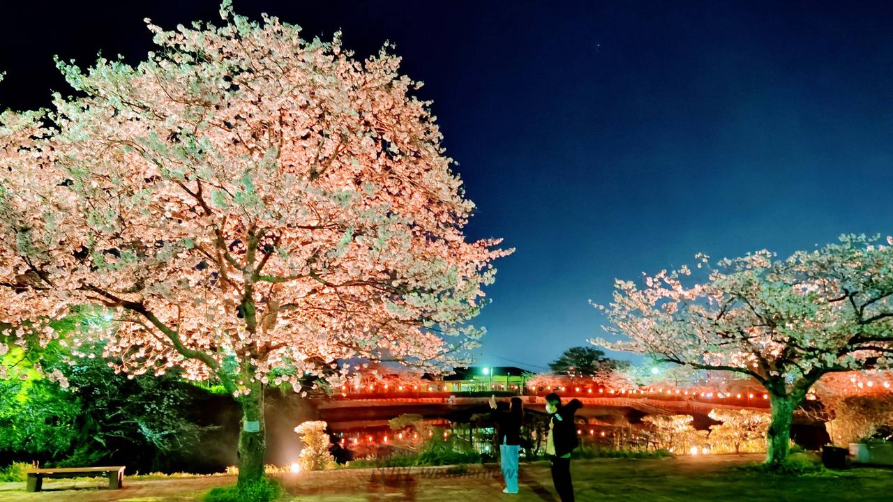 こんばんは🌃今夜の...