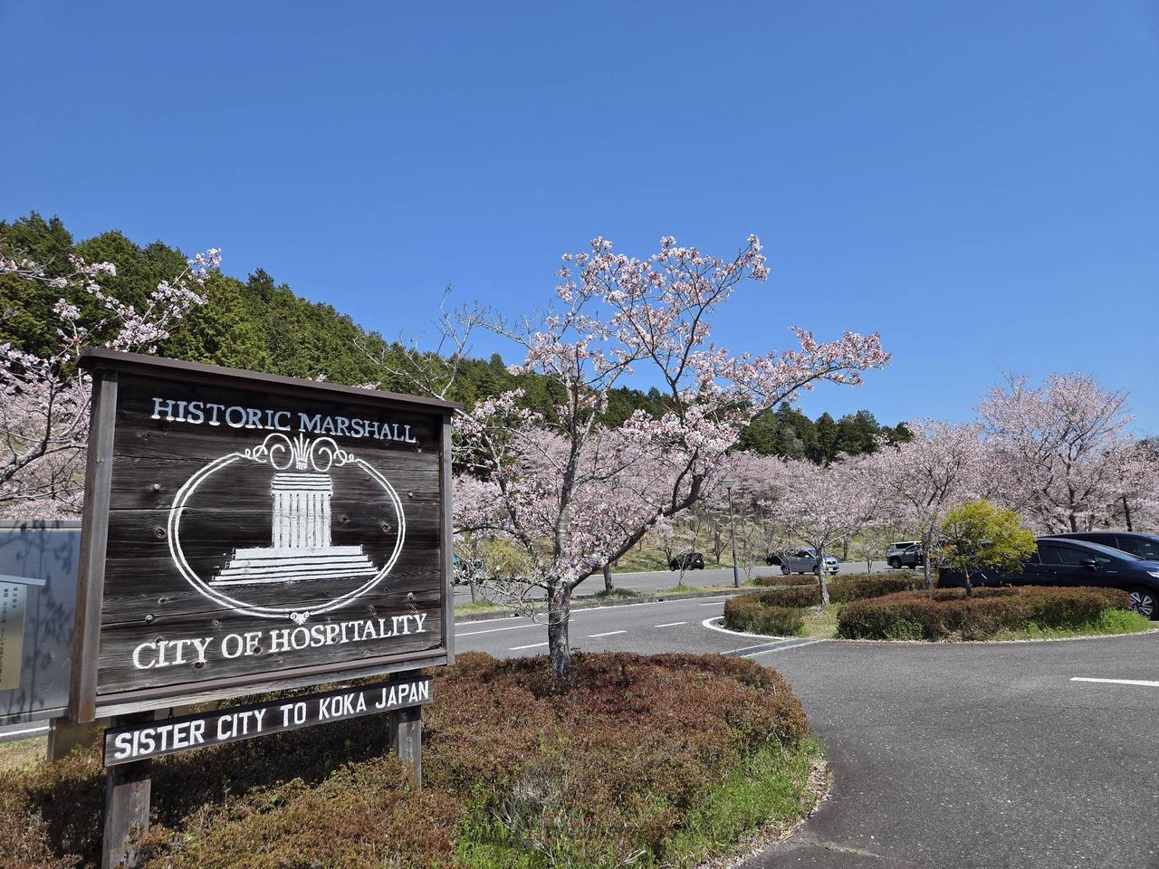 滋賀県の🌸名所選ん...