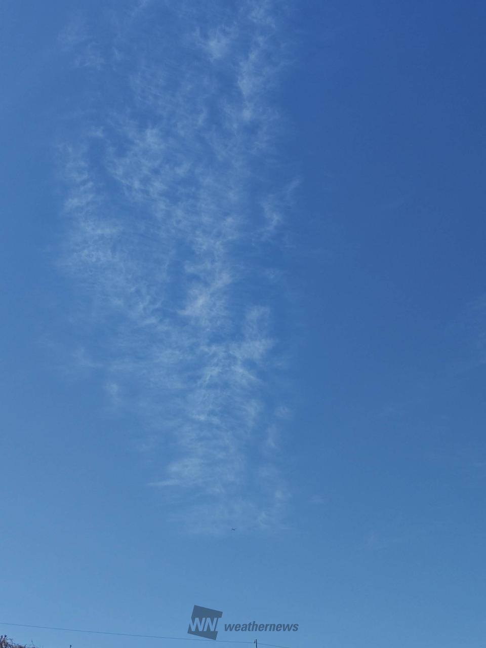 澄んだ青空 注目の空の写真 ウェザーニュース