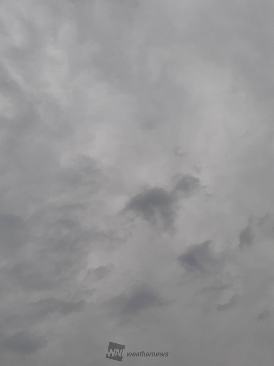 こんにちは。空は薄...