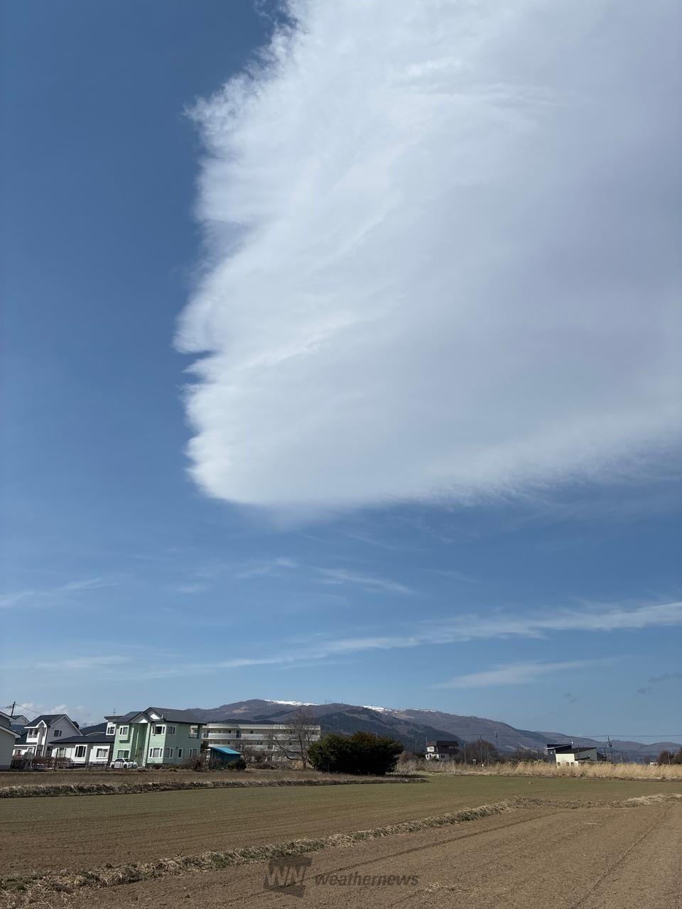 青空に大きな白い雲 注目の空の写真 ウェザーニュース