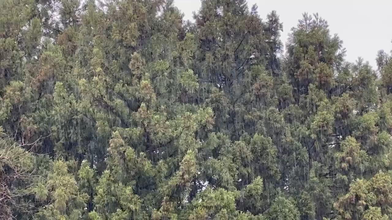 ☂️雨のエリアは東へ 注目の空の写真 ウェザーニュース