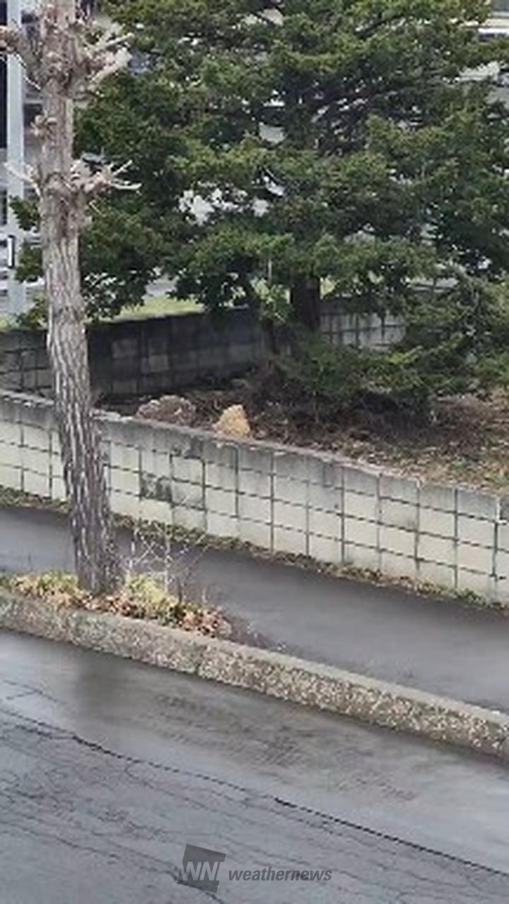 ☂️雨のエリアは東へ 注目の空の写真 ウェザーニュース