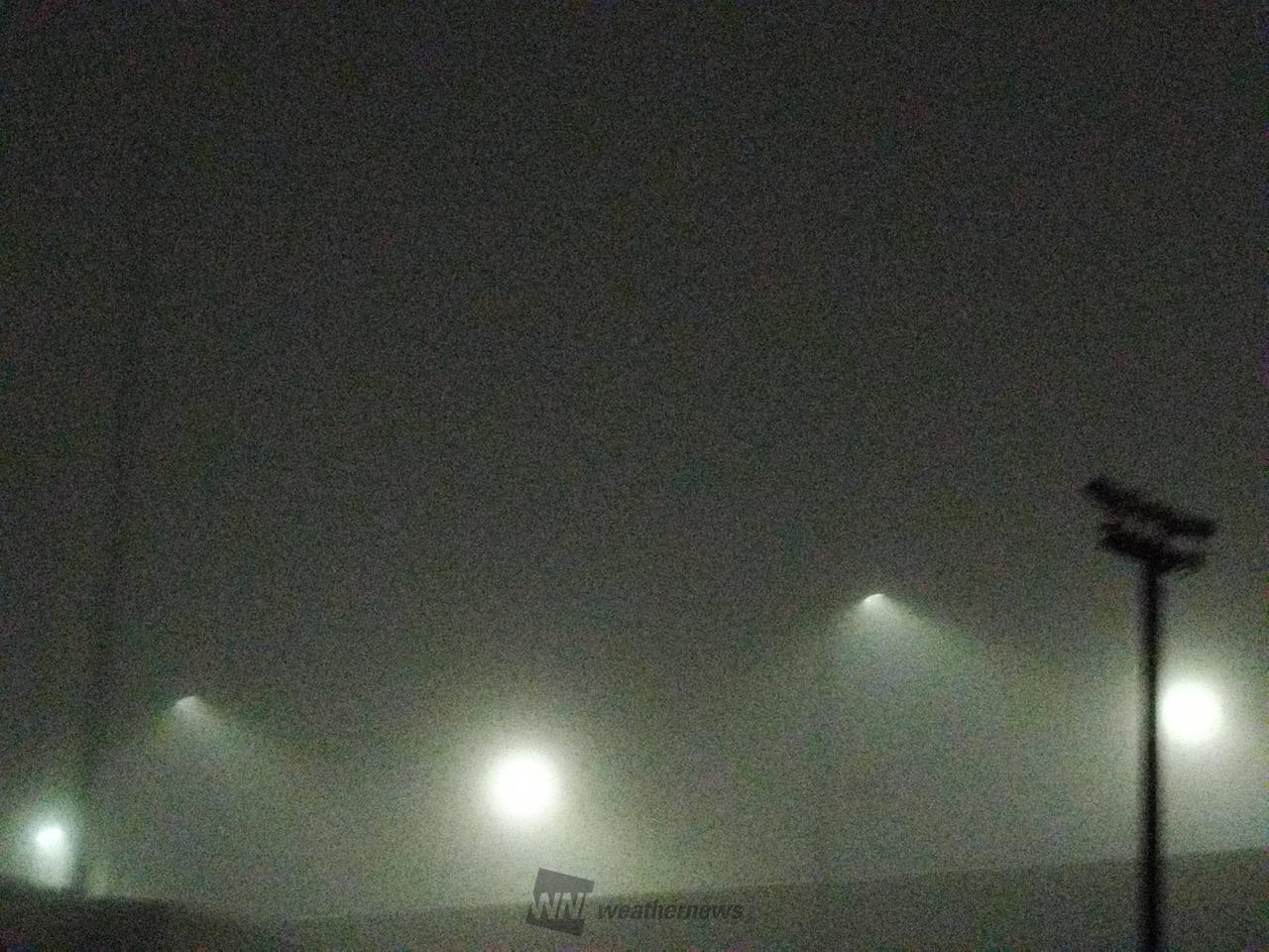 名古屋 市 南 区 天気 予報