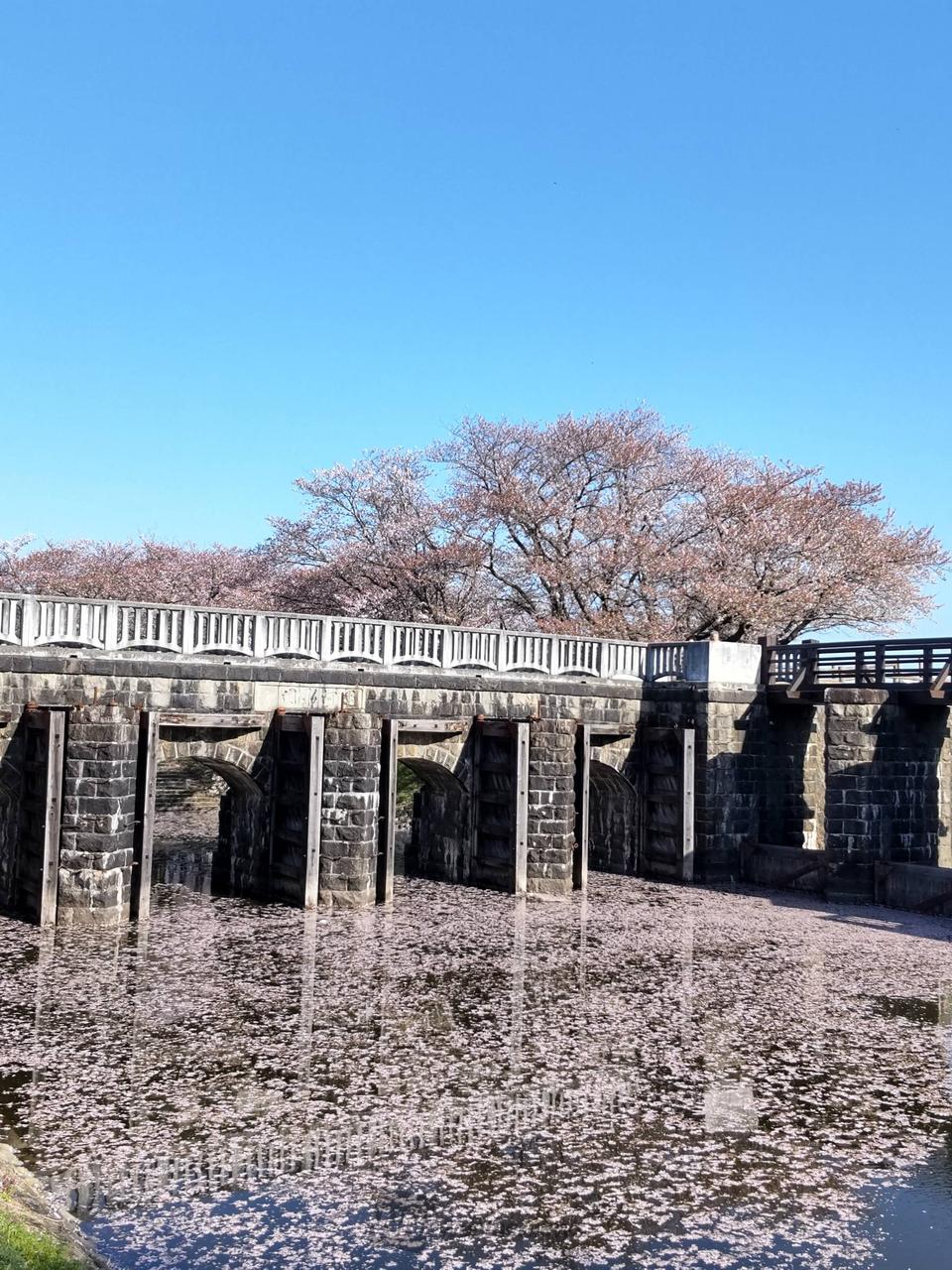 7時42分 撮影...