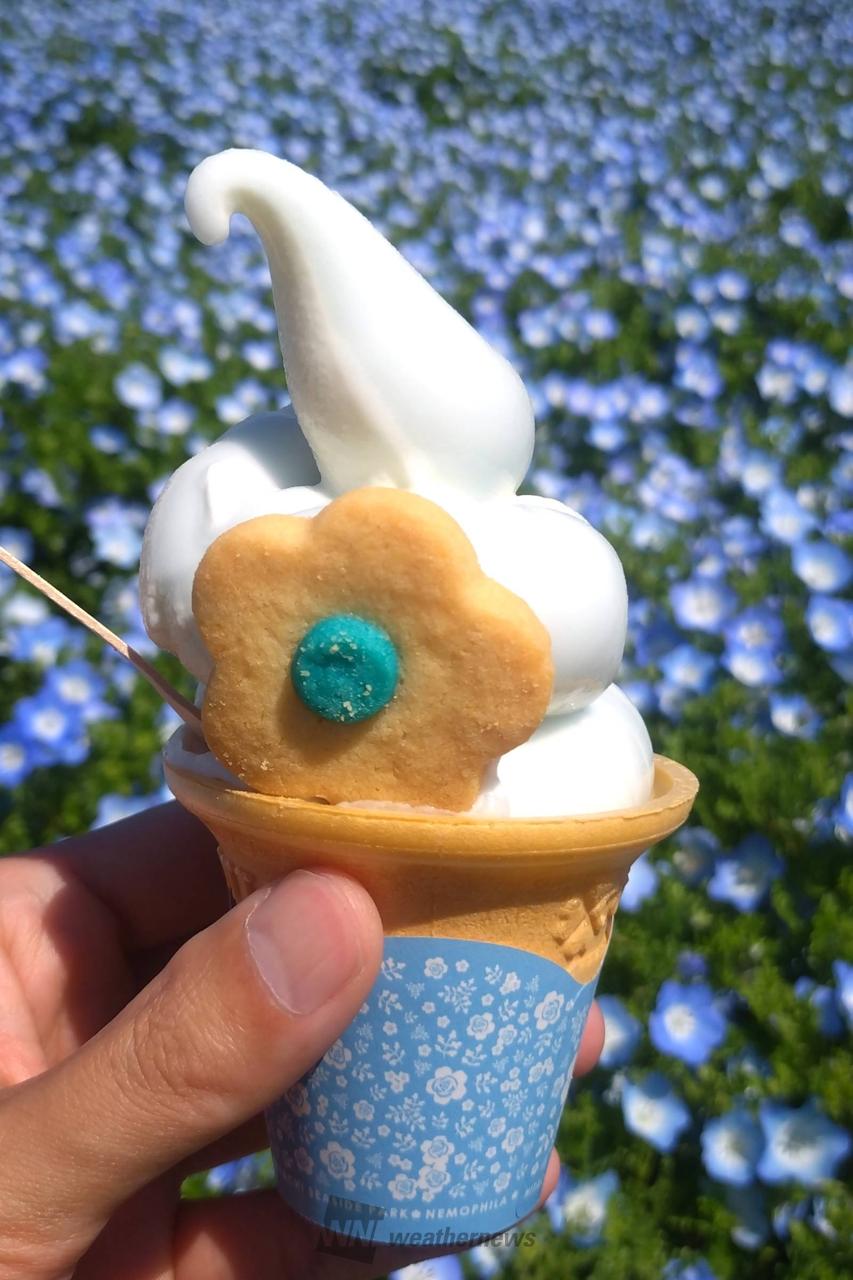 暖かい陽気で美味しい😋 注目の空の写真 ウェザーニュース