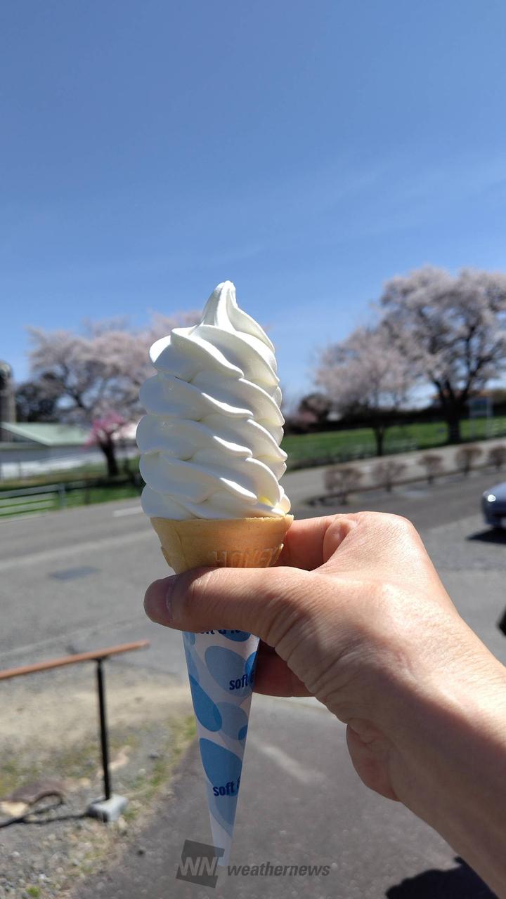 暖かい陽気で美味しい😋 注目の空の写真 ウェザーニュース