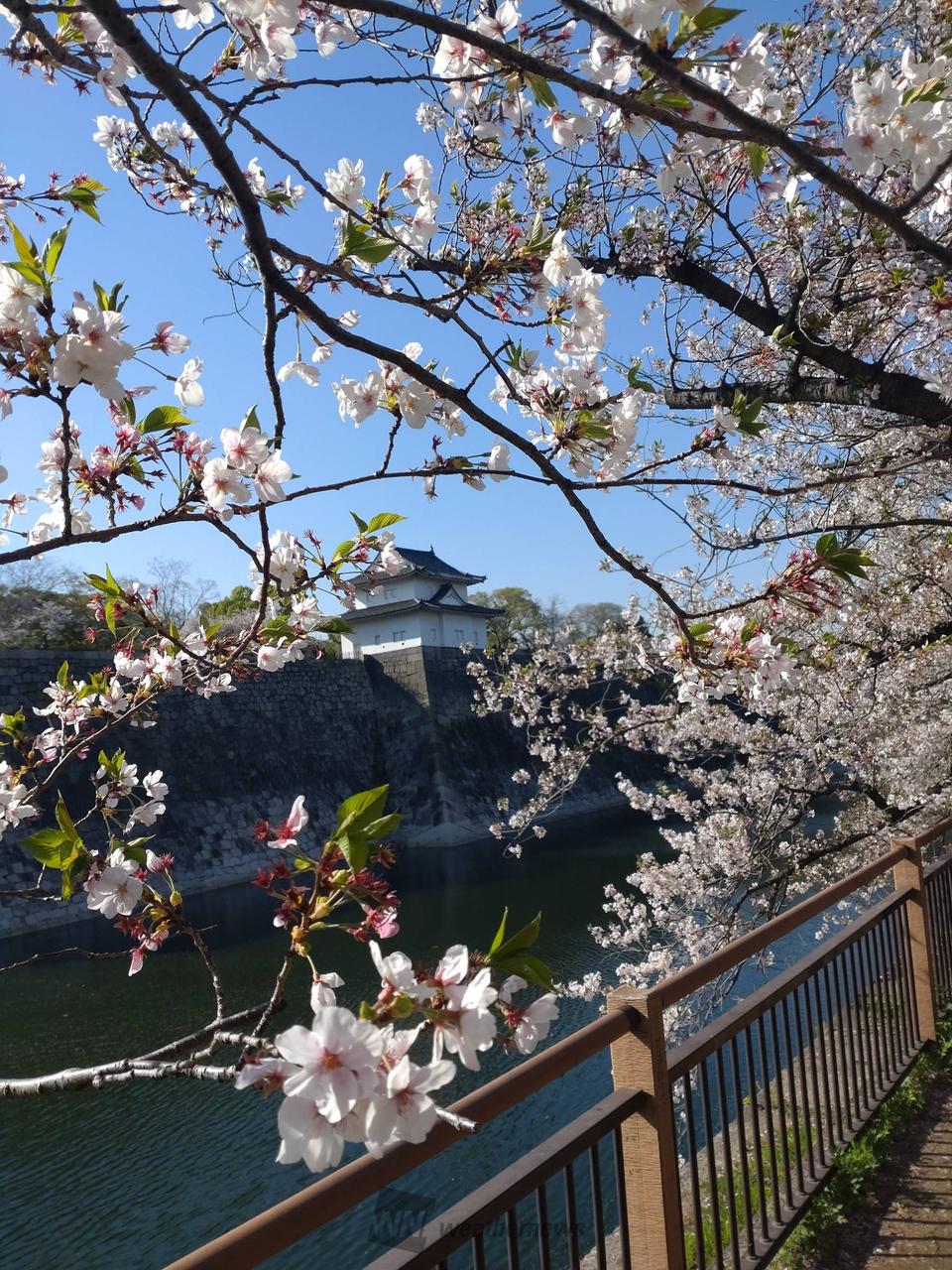 4月8日は有給だっ...