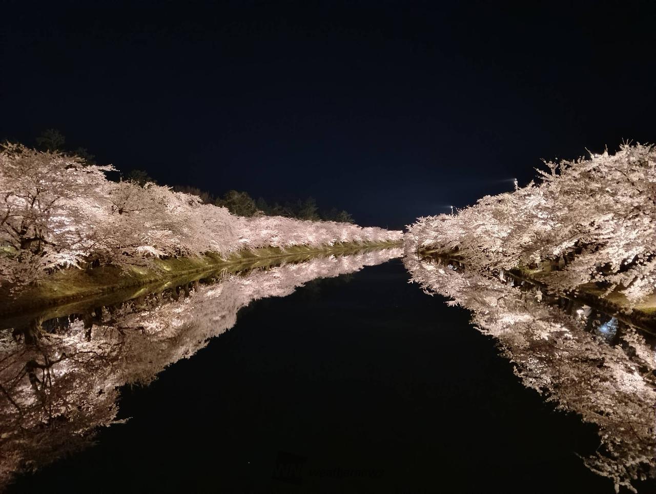 20時20分弘前公園で撮影しました。ライ | 青森県弘前市弘前公園 | 白兎 | ウェザーニュース