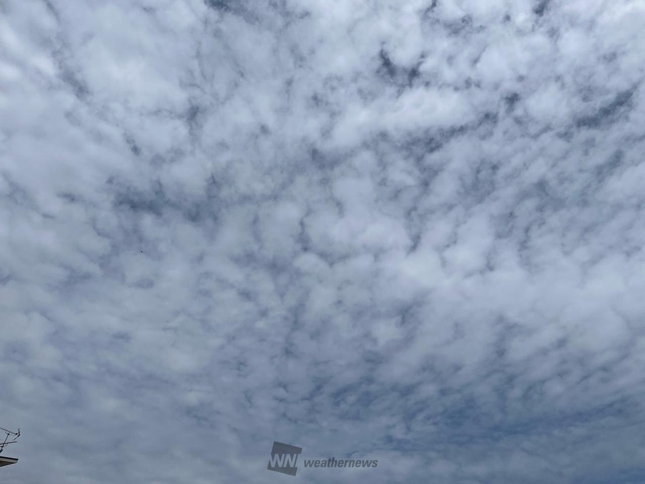 京都 市 西京 区 天気 予報