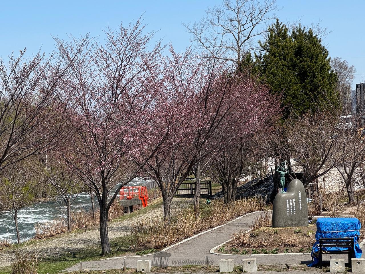 4月19日お昼頃、...