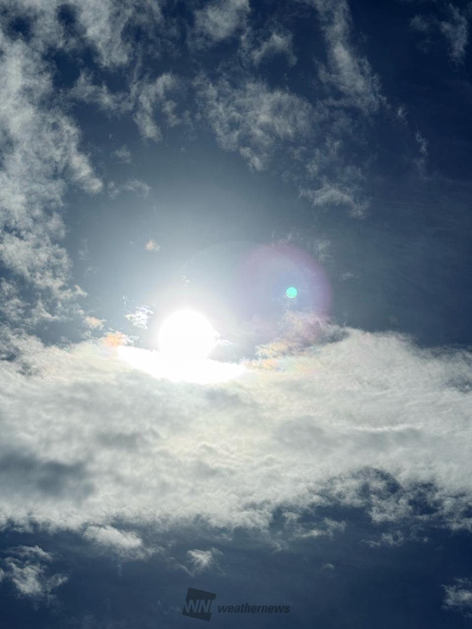 雨上がりの空 眩しい太陽が顔を出しま | 群馬県吾妻郡高山村 | 梅見月