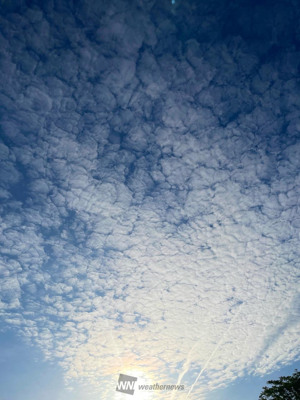 今日の虹色🌈 注目の空の写真 ウェザーニュース