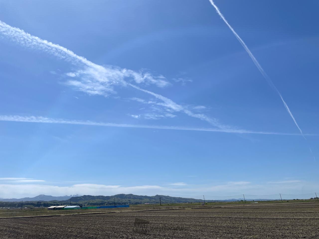 ビューンと飛行機雲 注目の空の写真 ウェザーニュース