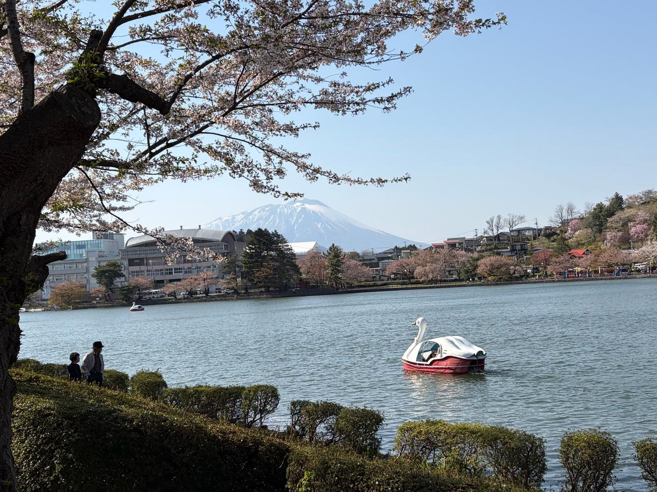 晴れて気持ちの良い...