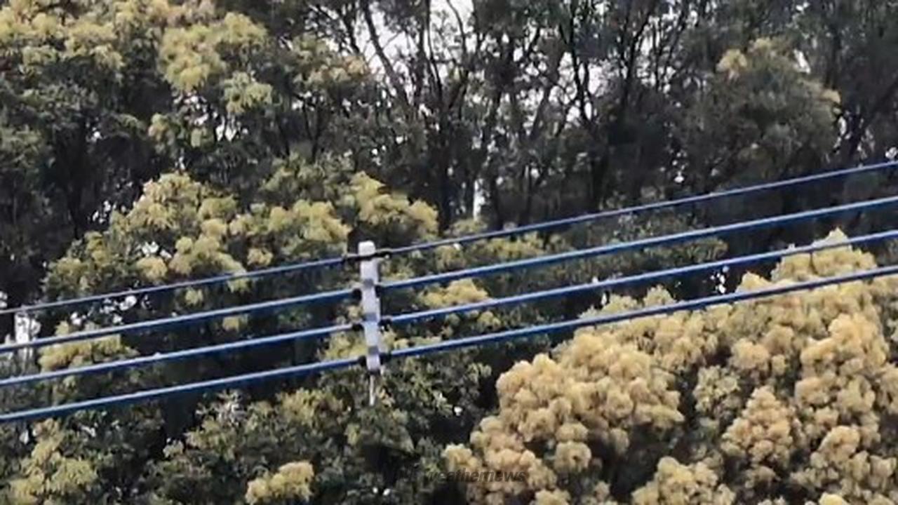 本降りの雨 注目の空の写真 ウェザーニュース