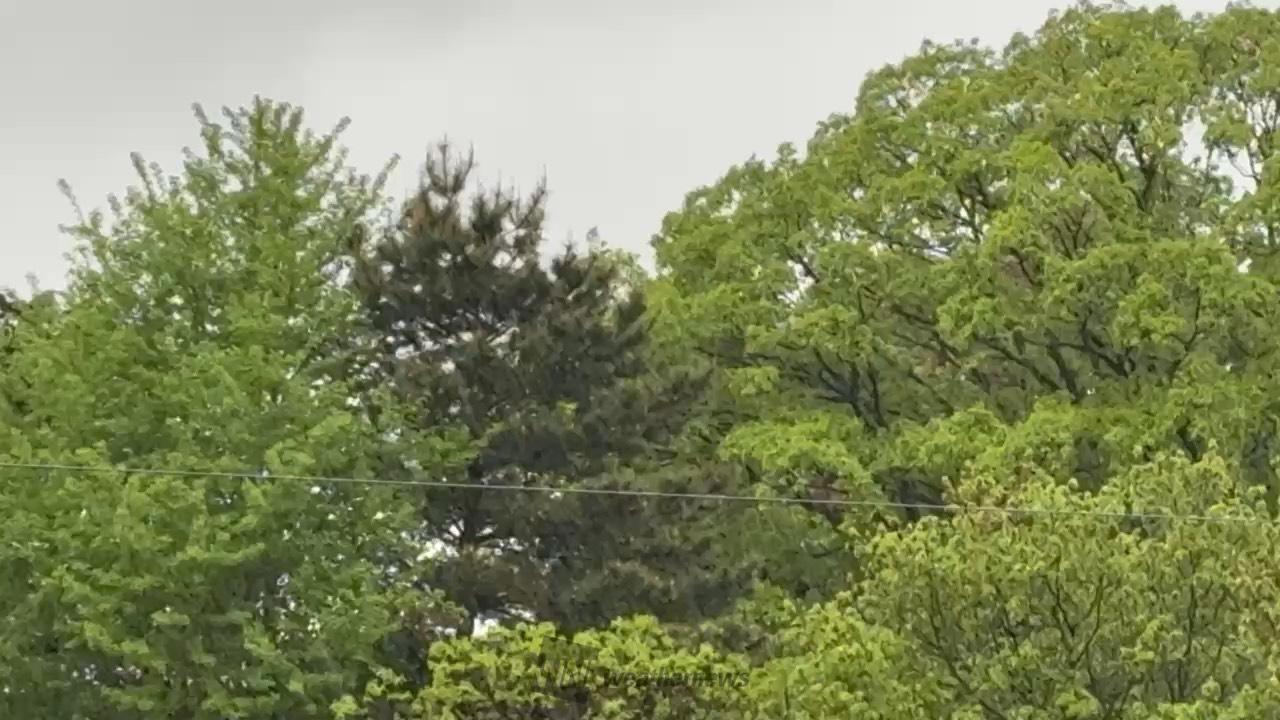 本降りの雨 注目の空の写真 ウェザーニュース