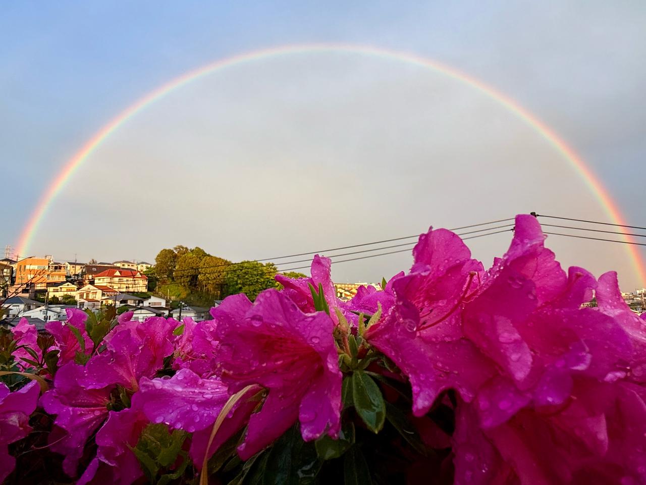 雨上がりの虹🌈 注目の空の写真 ウェザーニュース