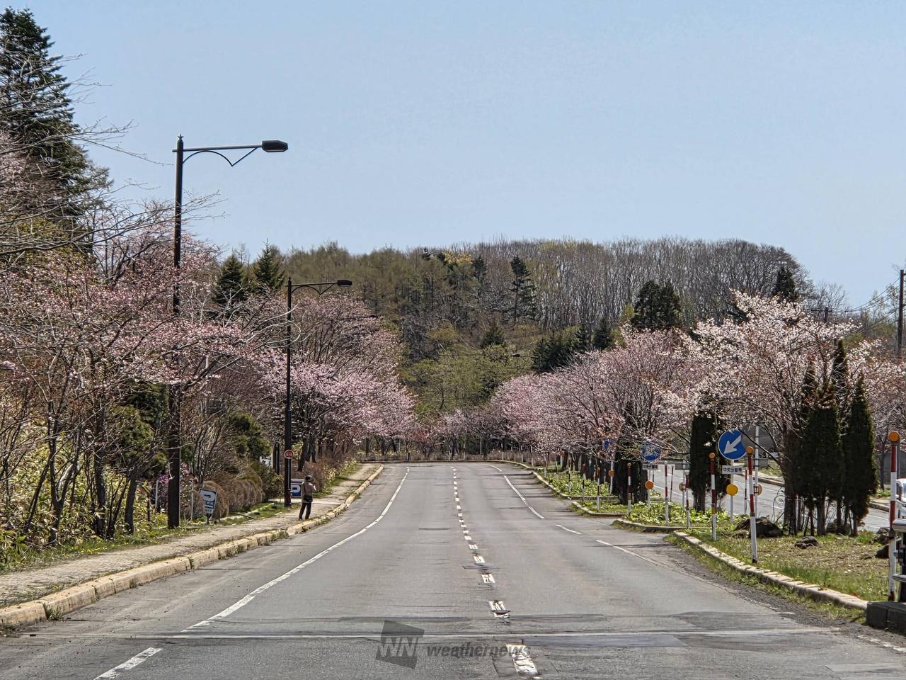 ｢花のトンネル｣、...