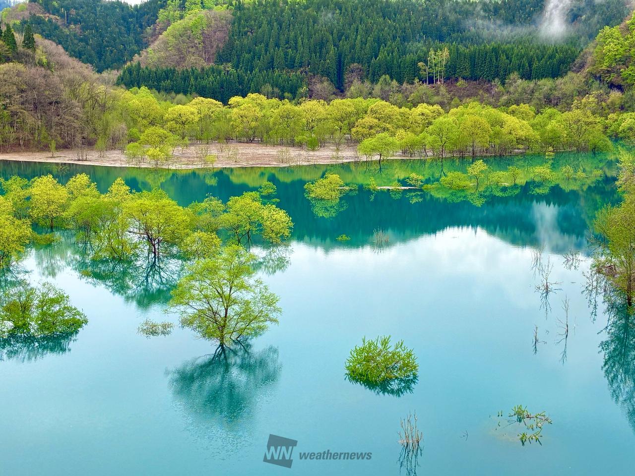 29日の絶景写真 注目の空の写真 ウェザーニュース