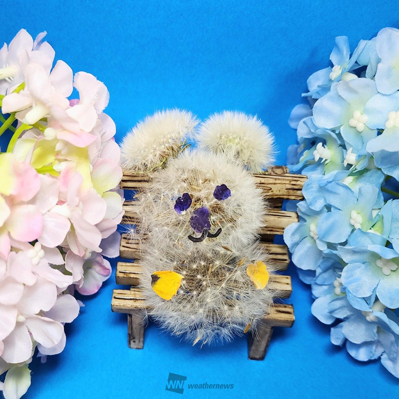 タンポポパンダ」を作ろう 注目の空の写真 ウェザーニュース