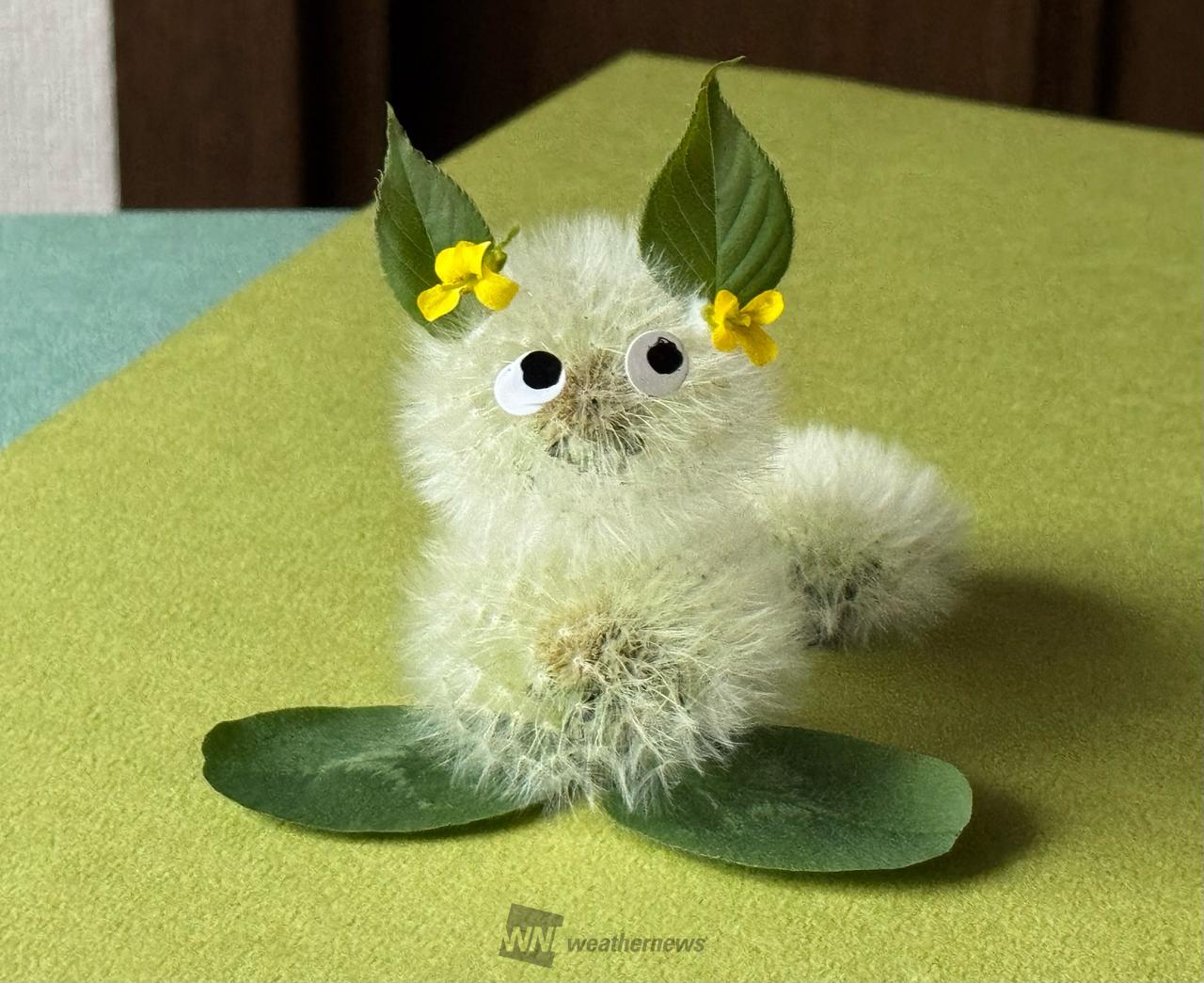 たんぽぽ様用　再出品 タンポポパンダ」を作ろう 注目の空の写真 ウェザーニュース