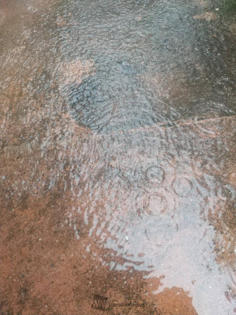 あちらこちらで水たまり💧 注目の空の写真 ウェザーニュース