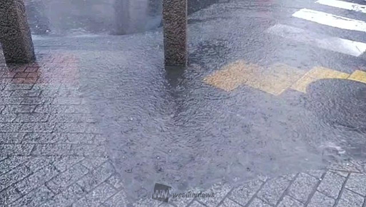 あちらこちらで水たまり💧 注目の空の写真 ウェザーニュース