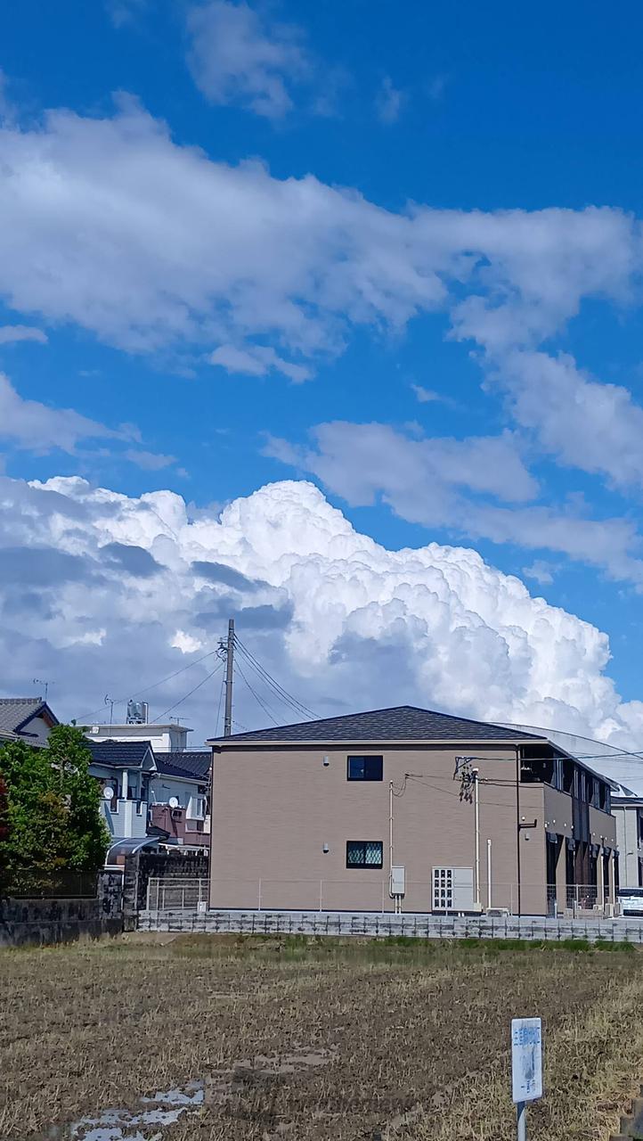 雲風様【お待ち下さい】＊ご購入用 クレマチス 線香ろうそくセット｜弔電｜刺しゅう | 電報の申込はKDDI