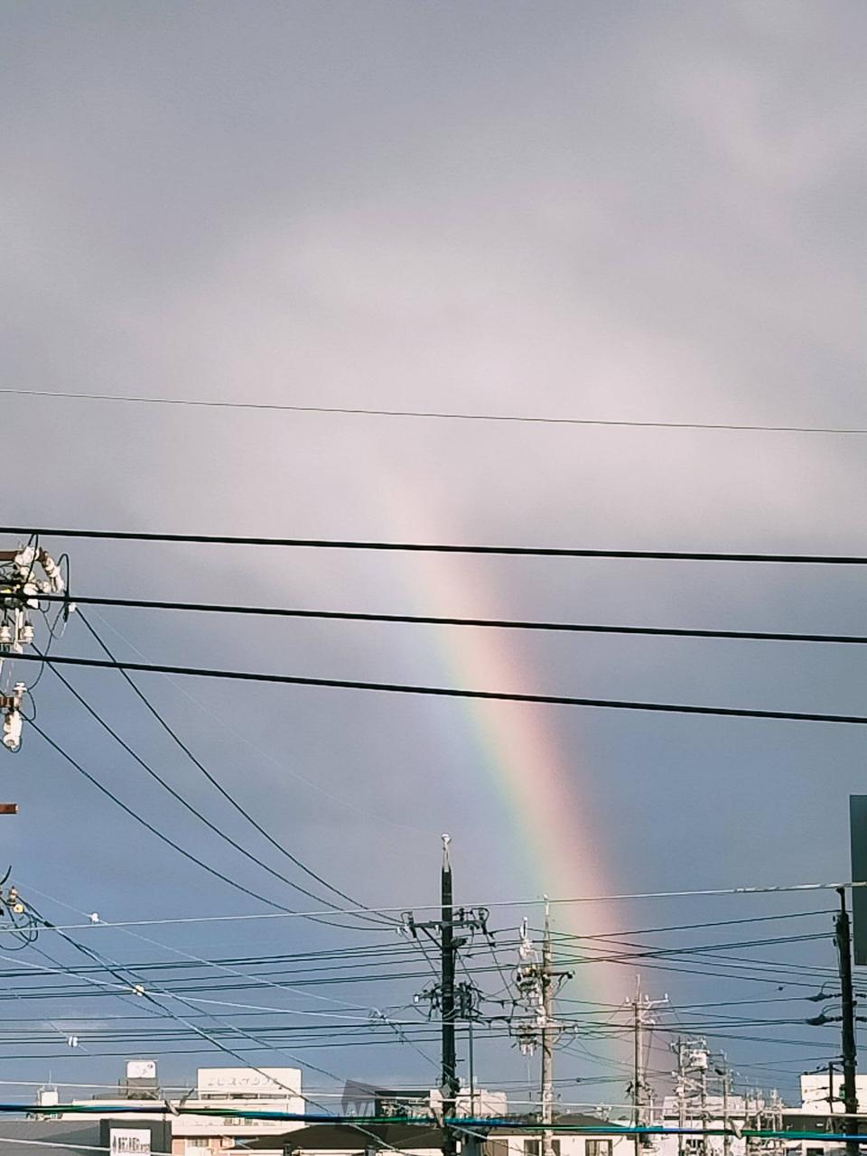 雨上がりに虹 注目の空の写真 ウェザーニュース