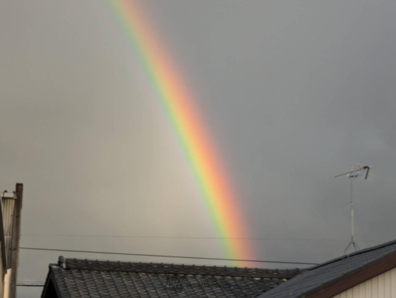 雨上がりに虹 注目の空の写真 ウェザーニュース