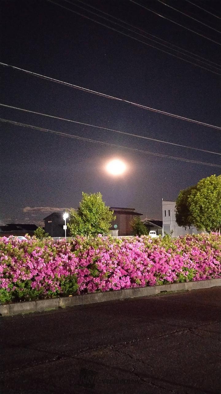 天気 予報 羽生 市
