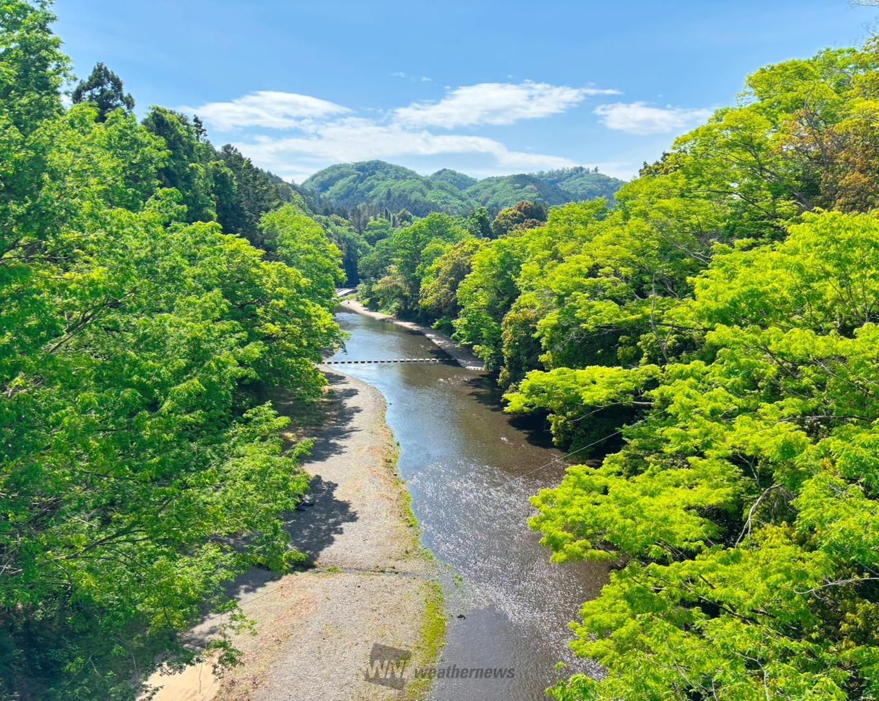 みどりの日に美しい新緑 注目の空の写真 ウェザーニュース
