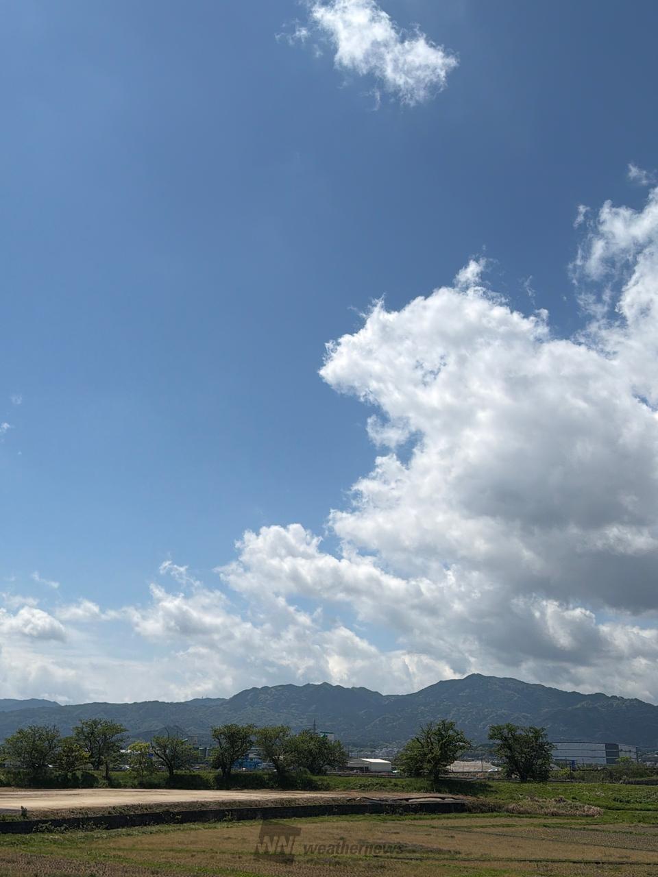 爽やかな晴天ですが、かなり風が強いです。 | 滋賀県湖南市 | Ohagi