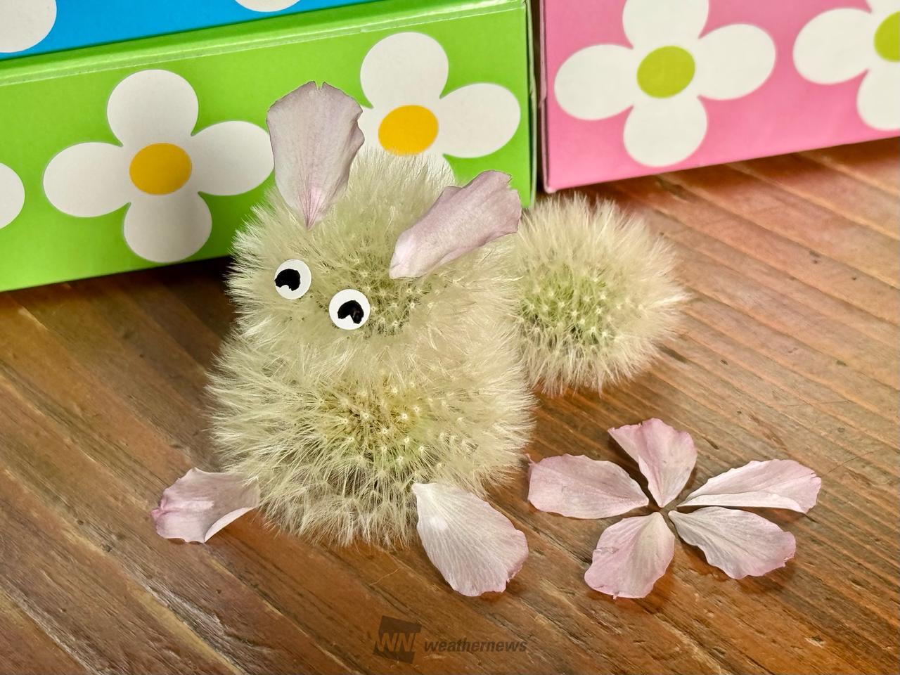 タンポポパンダ」を作ろう 注目の空の写真 ウェザーニュース